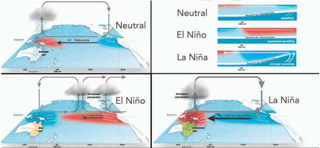 El Nino and Monsoon